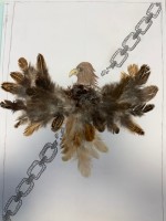 Adler_frieden.jpg